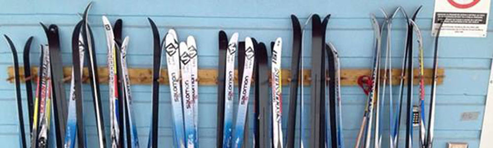 Success with Nordic Ski Swap