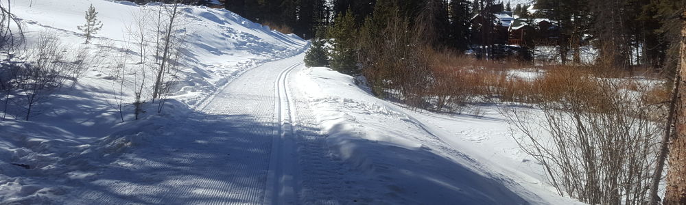 Variable Snow Conditions Off-Trail