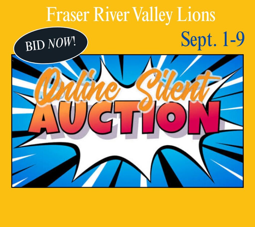 online silent auction