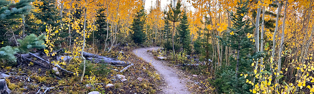 National Public Lands Day is Saturday